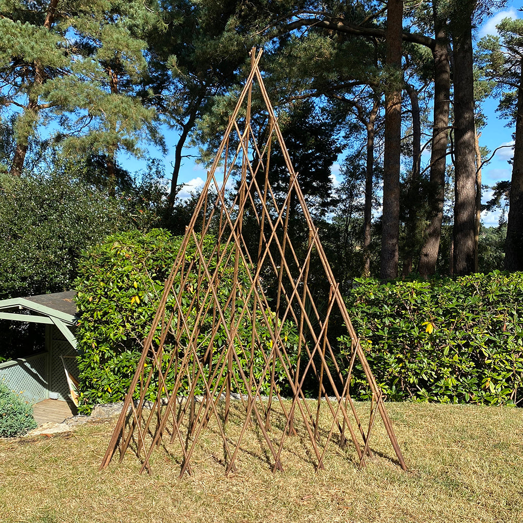 A natural willow obelisk garden trellis plant support standing on grass with shrubs and trees in the background.