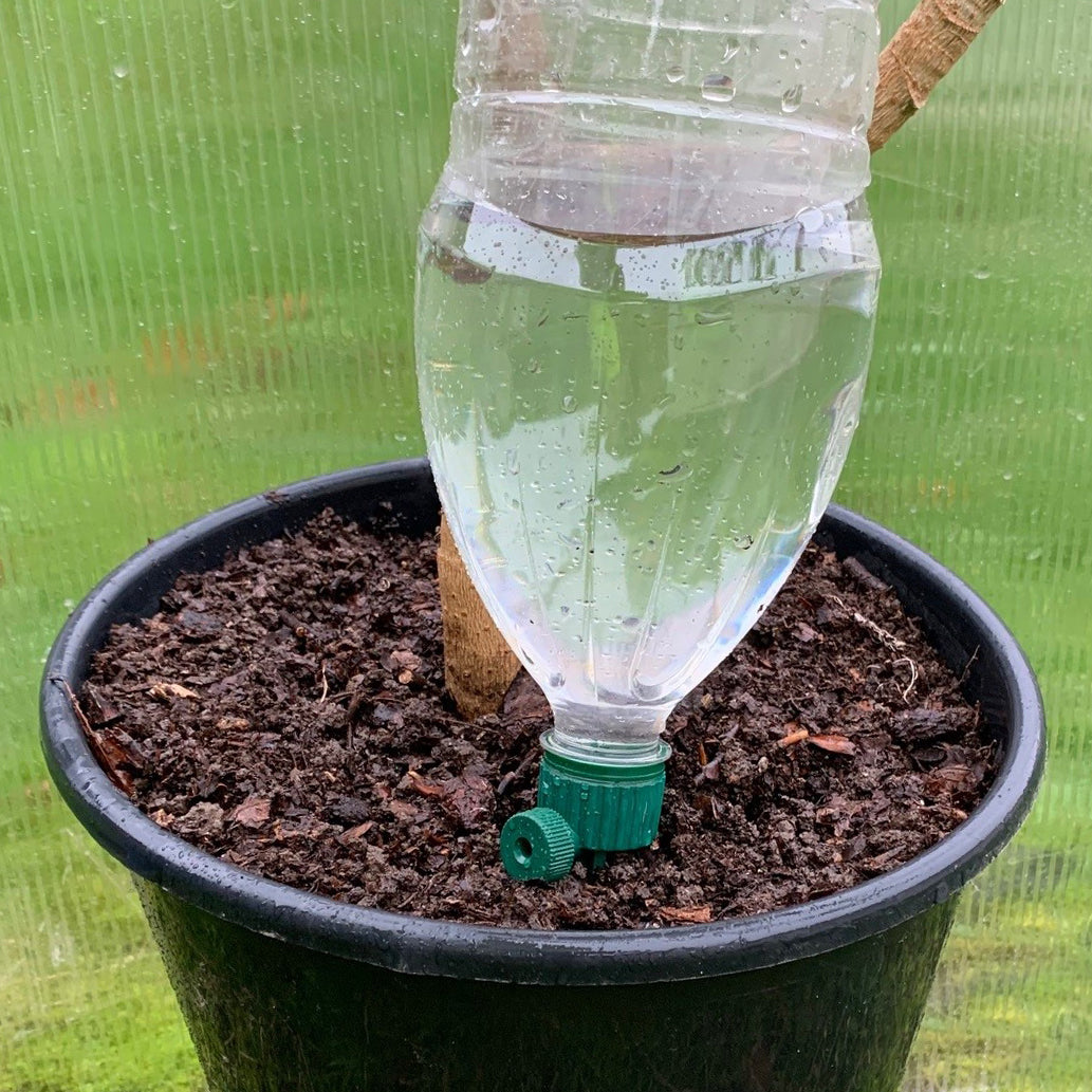 A plastic bottle fitted into a pot, acting as a watering reservoir with a green tap adjusted for water flow.