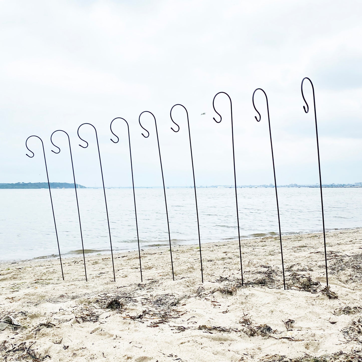 A set of black metal garden border hooks installed in the ground, presumably on a lawn or flowerbed, with a body of water and sky visible in the background.