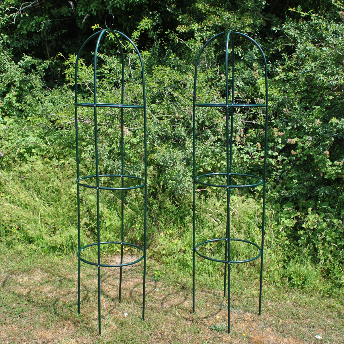 Two green painted tubular steel garden obelisks standing upright in a natural setting with foliage in the background.