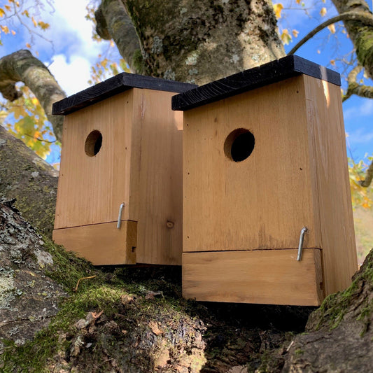 Two traditional wooden bird nest boxes with removable bases mounted on a tree