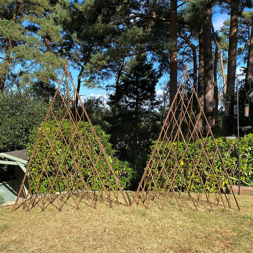 Two expanding willow garden obelisks standing in a garden, providing structure for climbing plants.