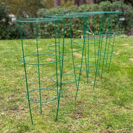 A set of five green conical metal plant support rings on a grassy lawn.