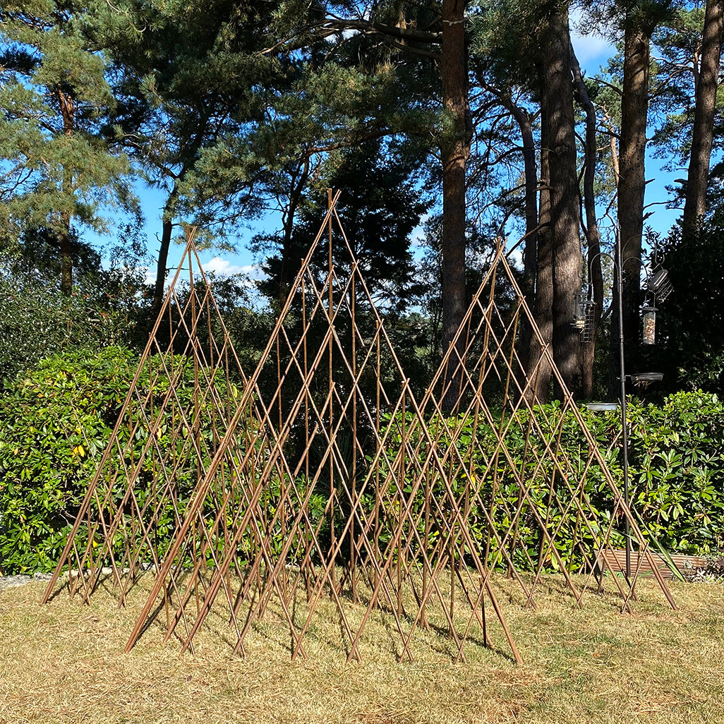 Three expanding willow garden obelisks standing upright in a garden, with a trellis design, intended for plant support.