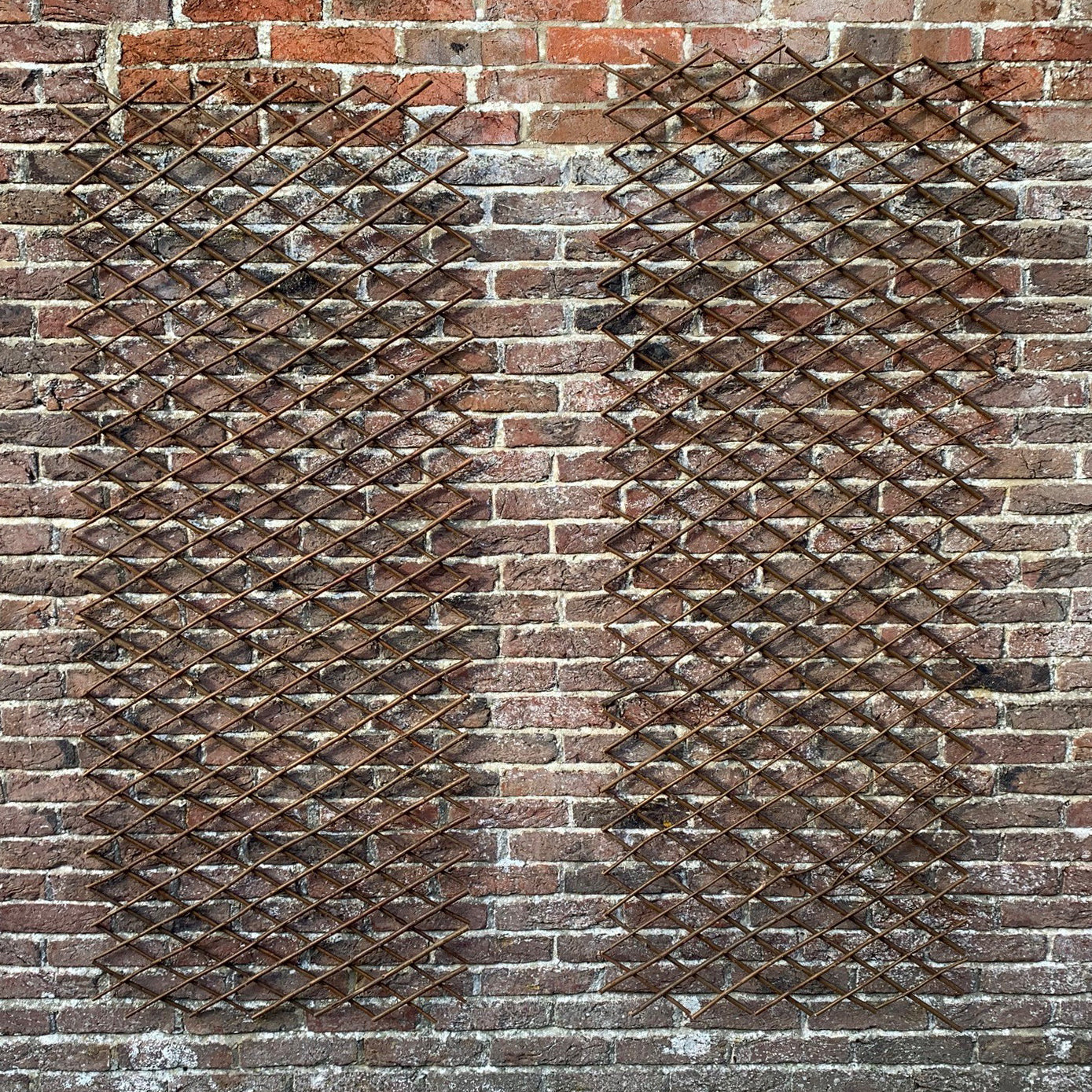 Two expanding willow trellises fixed to a brick wall, demonstrating their expandable nature.