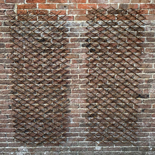 Two expanding willow trellises fixed to a brick wall, demonstrating their expandable nature.