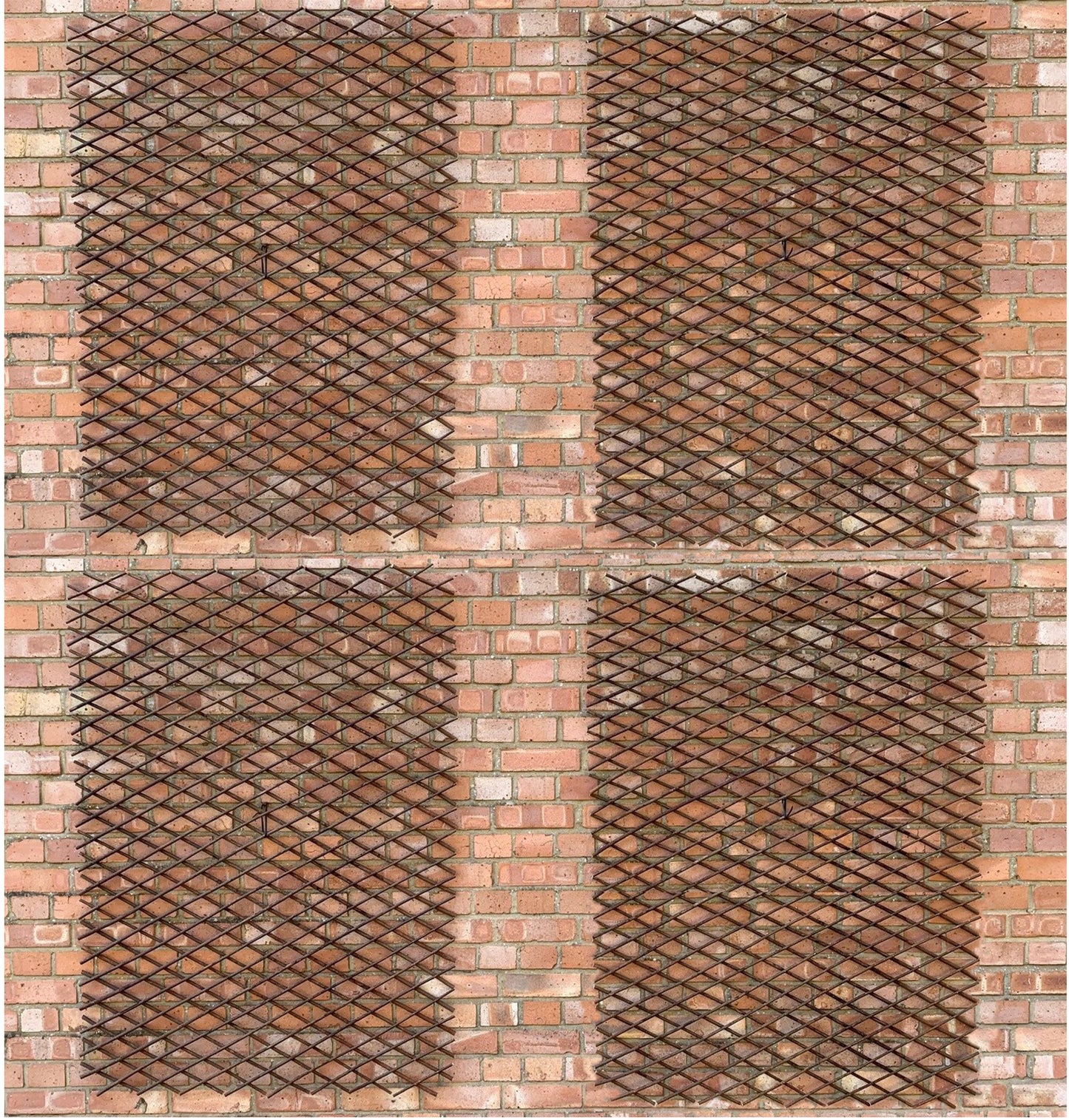 Set of 4 Expanding Willow Trellis (180cm x 90cm)
