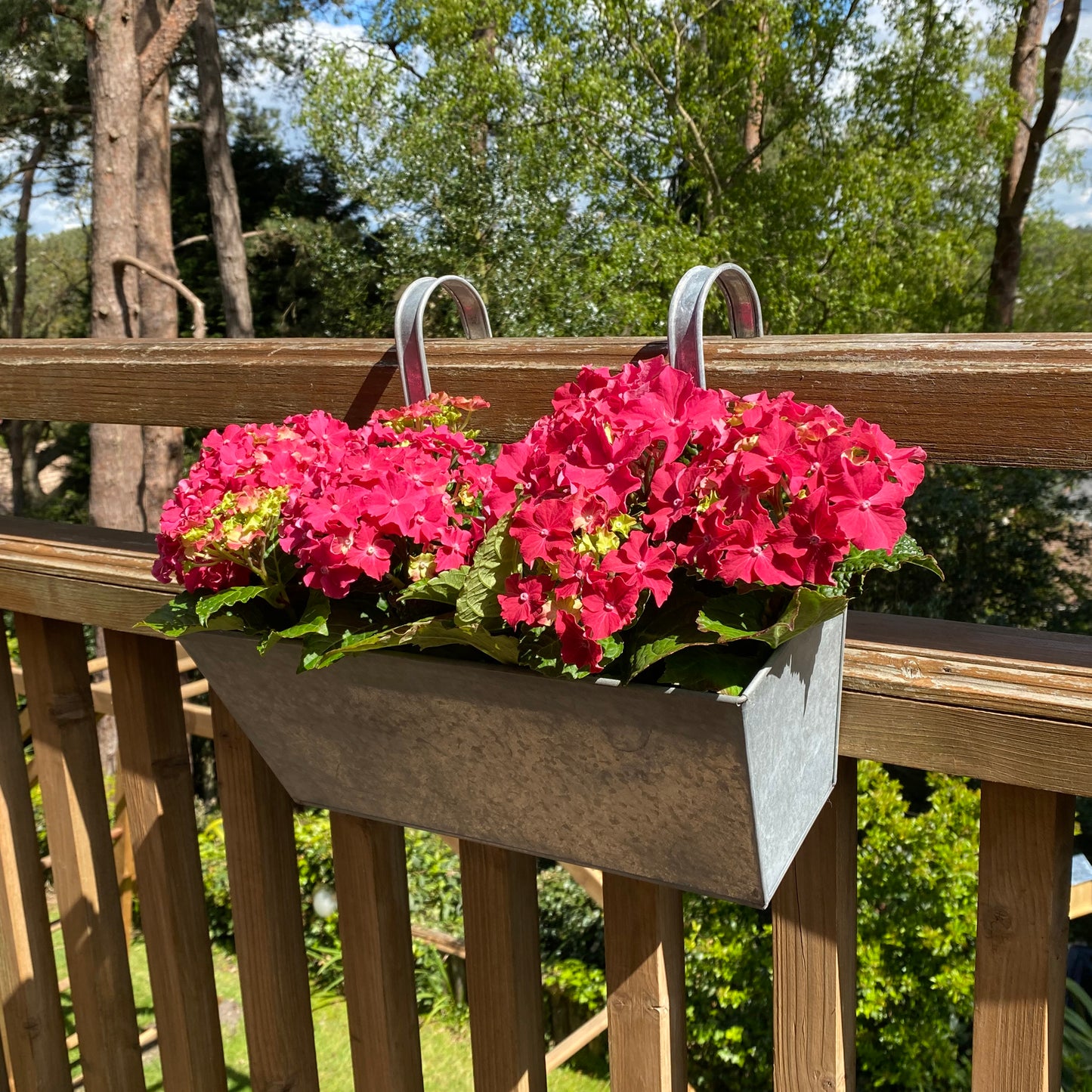 Two zinc metal hanging planters with pink flowers, mounted on a wooden railing.