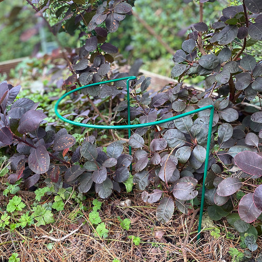 A green garden hoop plant support system installed among plants, showing how it aids in supporting plant growth.