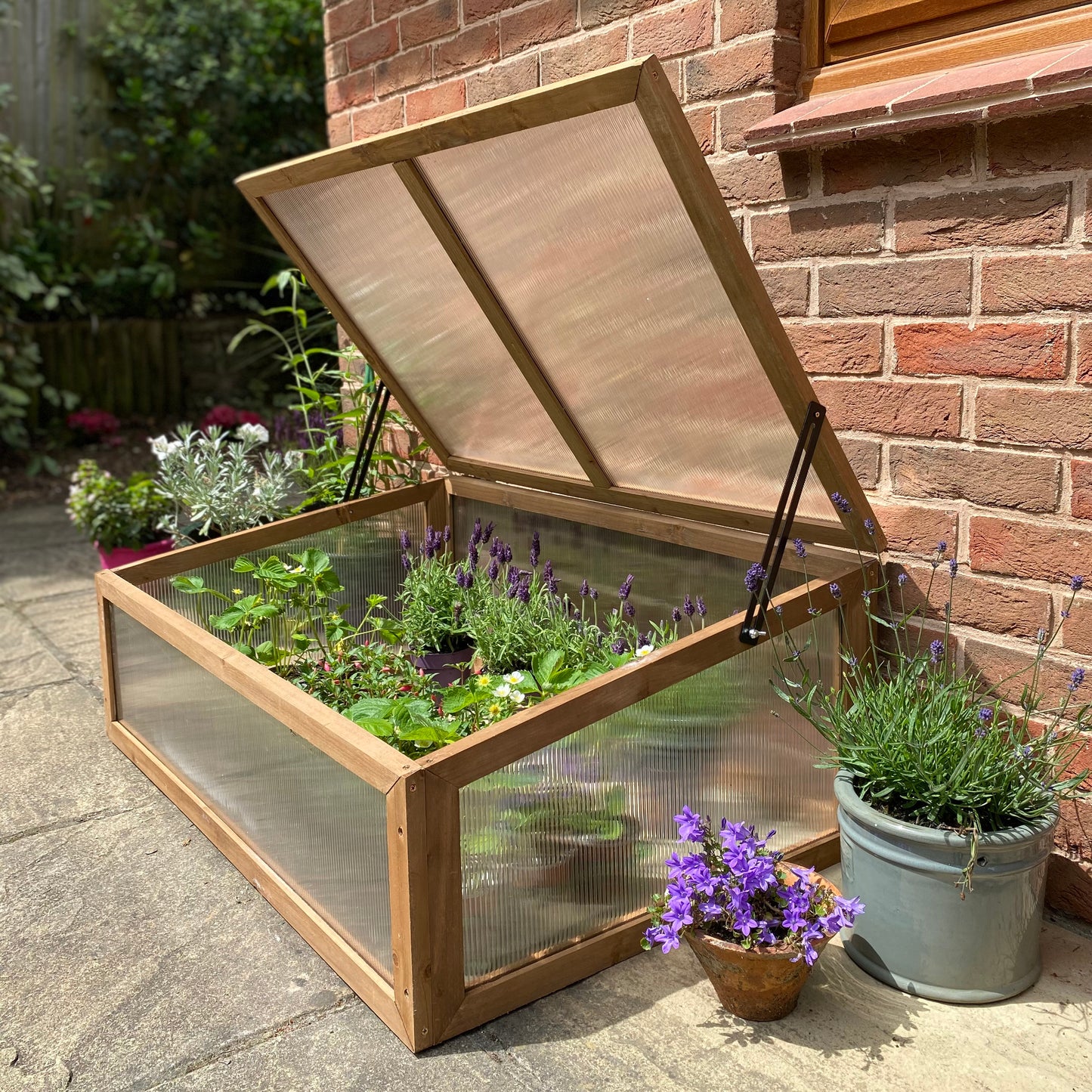 A wooden framed polycarbonate coldframe with plants inside, placed on a garden path next to a brick wall. The coldframe has a hinged opening top and is situated among various potted plants.