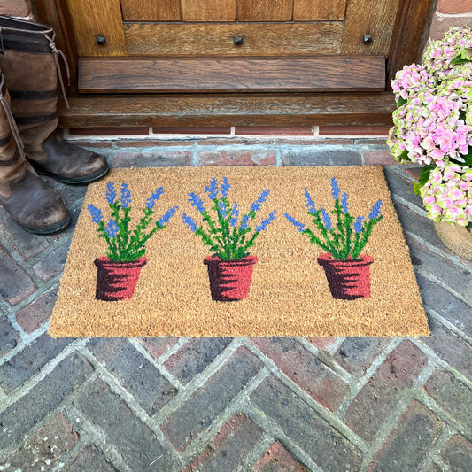 Lavandula Lavender Pots Indoor & Outdoor Coir Doormat
