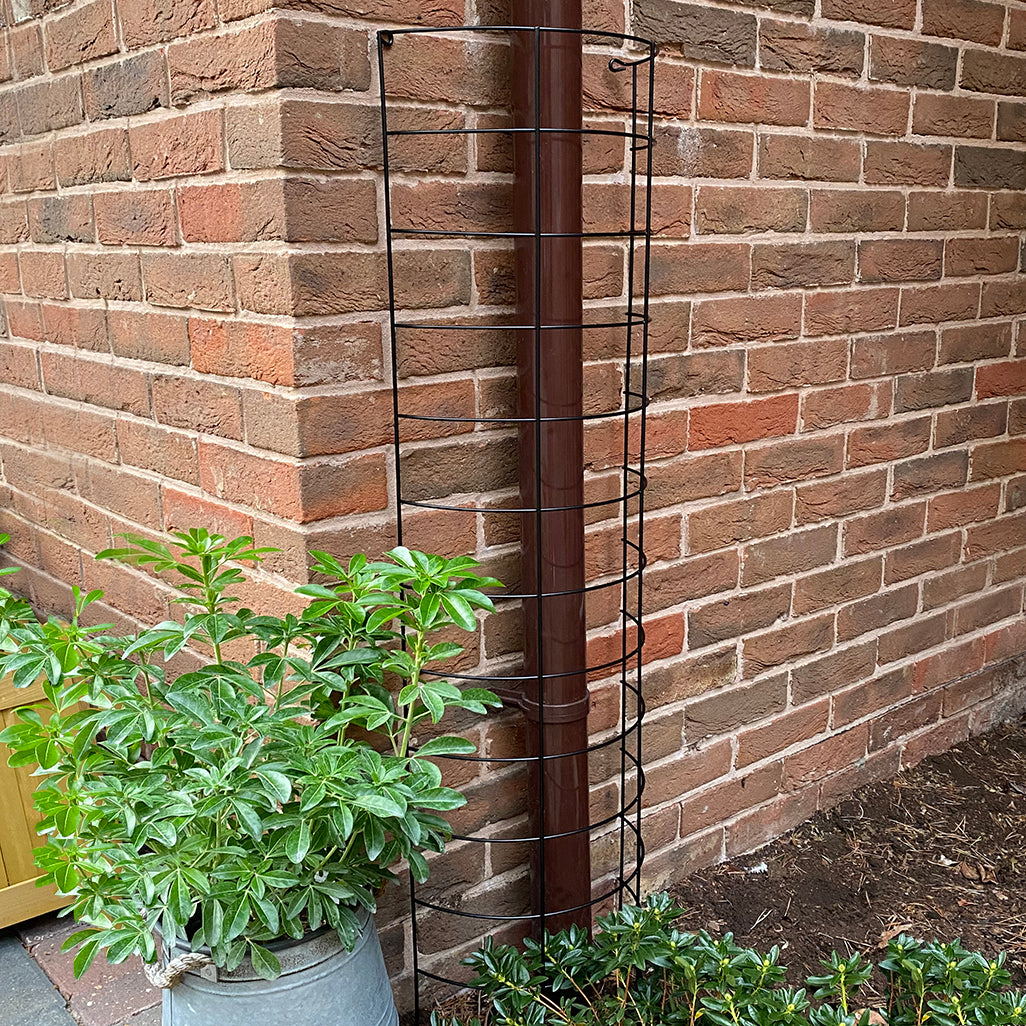 A black metal tube trellis semi-circular in shape, placed next to a brick wall with a plant pot in front.