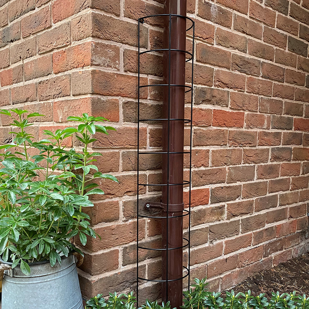 A semi-circular metal tube trellis mounted on a brick wall next to a potted plant, with the trellis designed to hide a drainpipe.