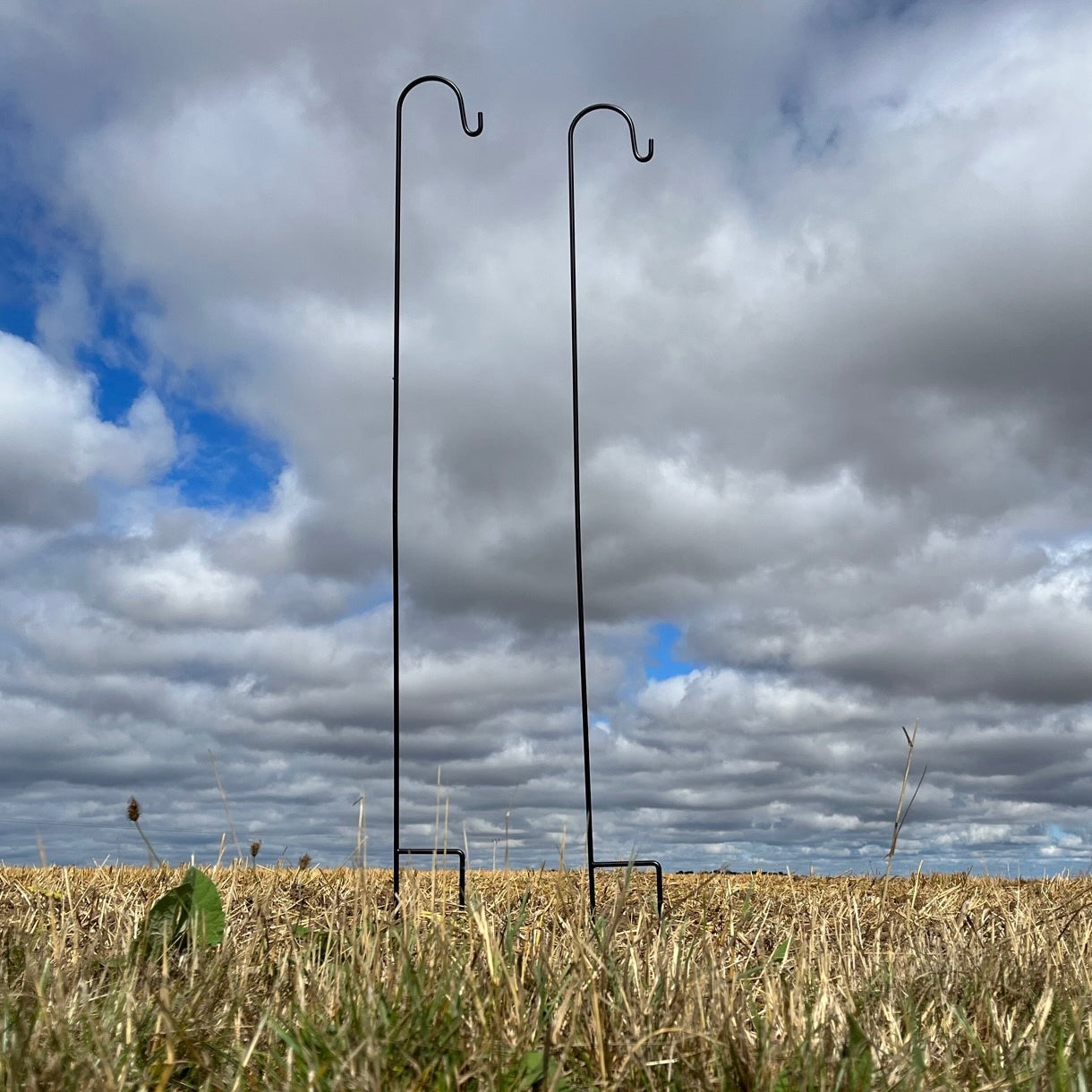 Two black metal garden shepherds crook border hooks standing in an outdoor setting with a cloudy sky in the background.