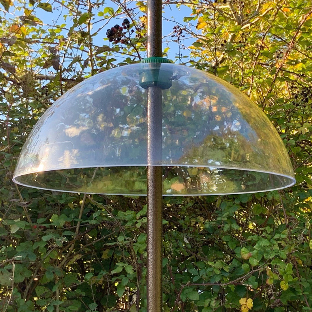 Squirrel Proof Baffle Protection for Wild Bird Feeders