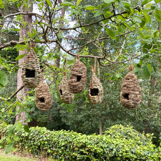 A set of bird roosting pouches made from straw and raffia, hanging from a tree branch.