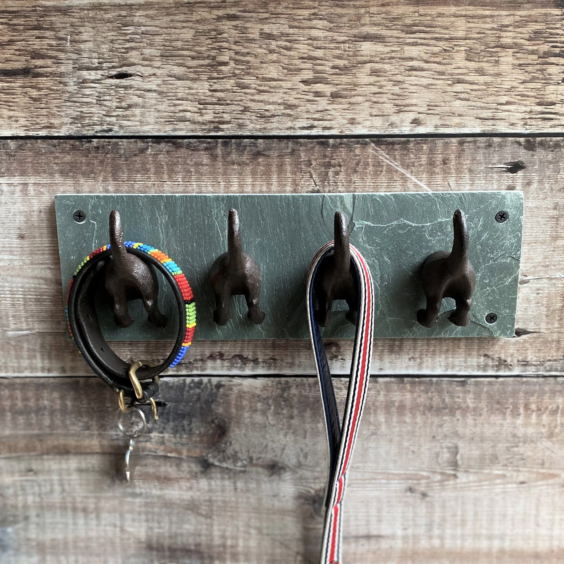 Four cast iron dog tail hooks mounted on a slate wall plate, affixed to a wooden wall with examples of items hung on the hooks, such as leashes.