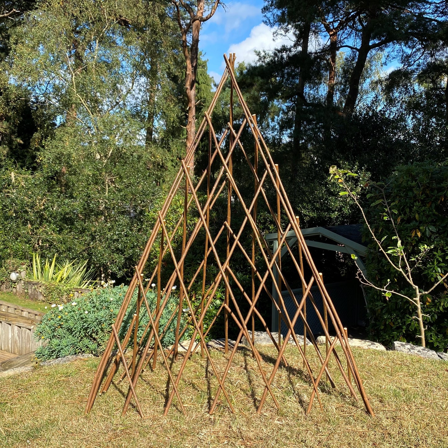 A natural willow obelisk garden trellis expanded into a pyramid shape, standing on grass with trees in the background.