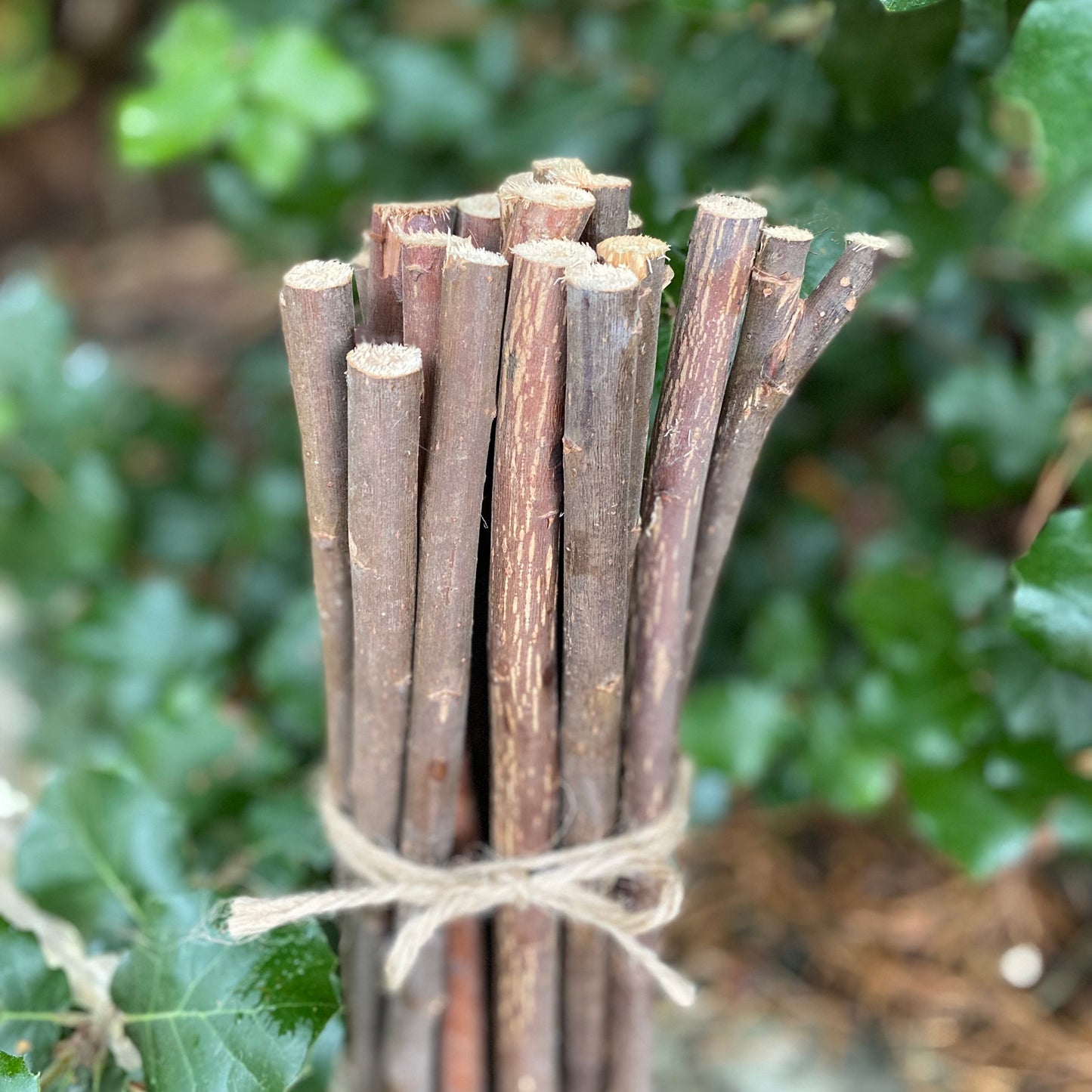 A bundle of brown willow support sticks tied together with twine, set against a blurred background of green foliage.