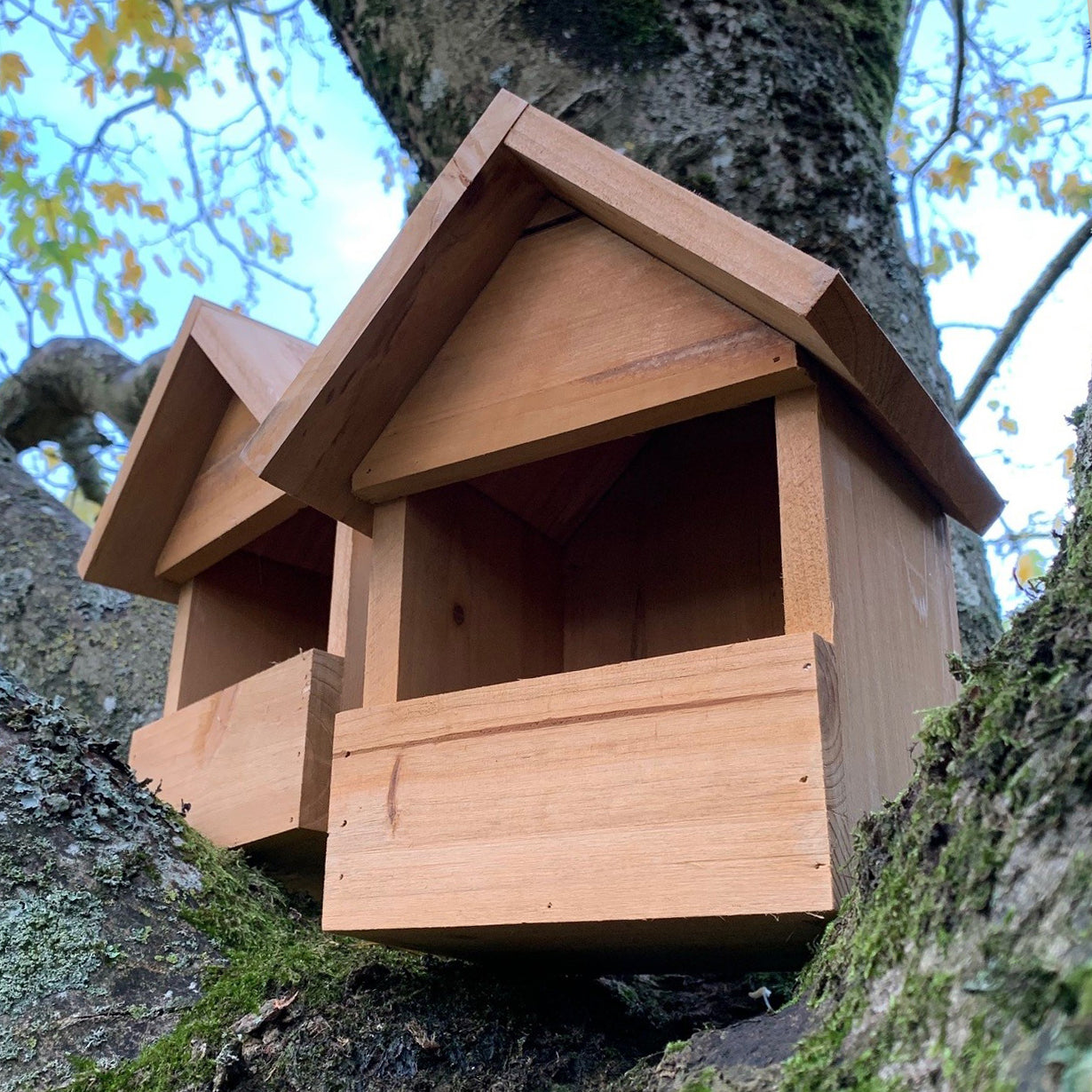 Two wooden open-fronted birdhouses mounted on a tree trunk.