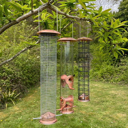 A set of three copper style hanging bird feeders seed, nut and fatball placed in a garden setting.