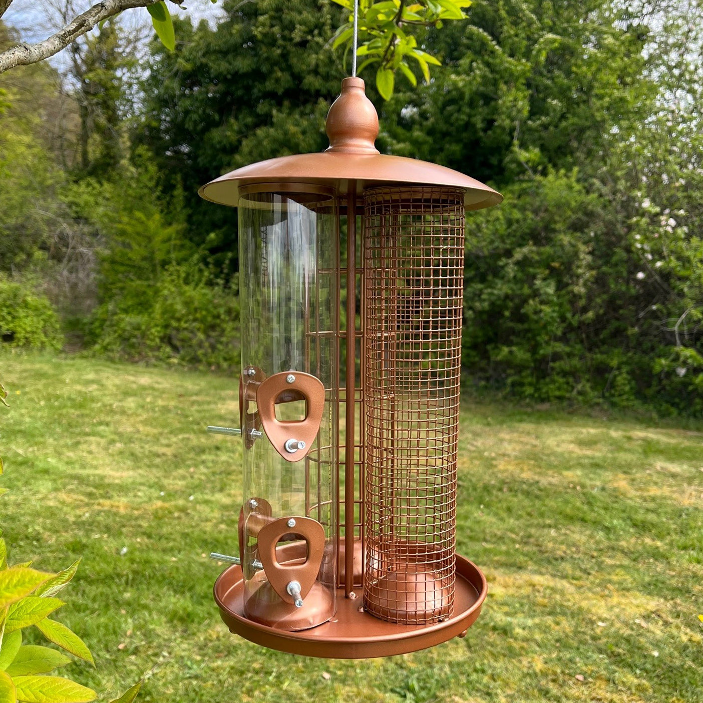 A bronze-colored metal bird feeder hanging outdoors with a clear seed compartment and a mesh enclosure.