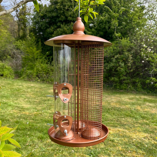 A bronze-colored metal bird feeder hanging outdoors with a clear seed compartment and a mesh enclosure.