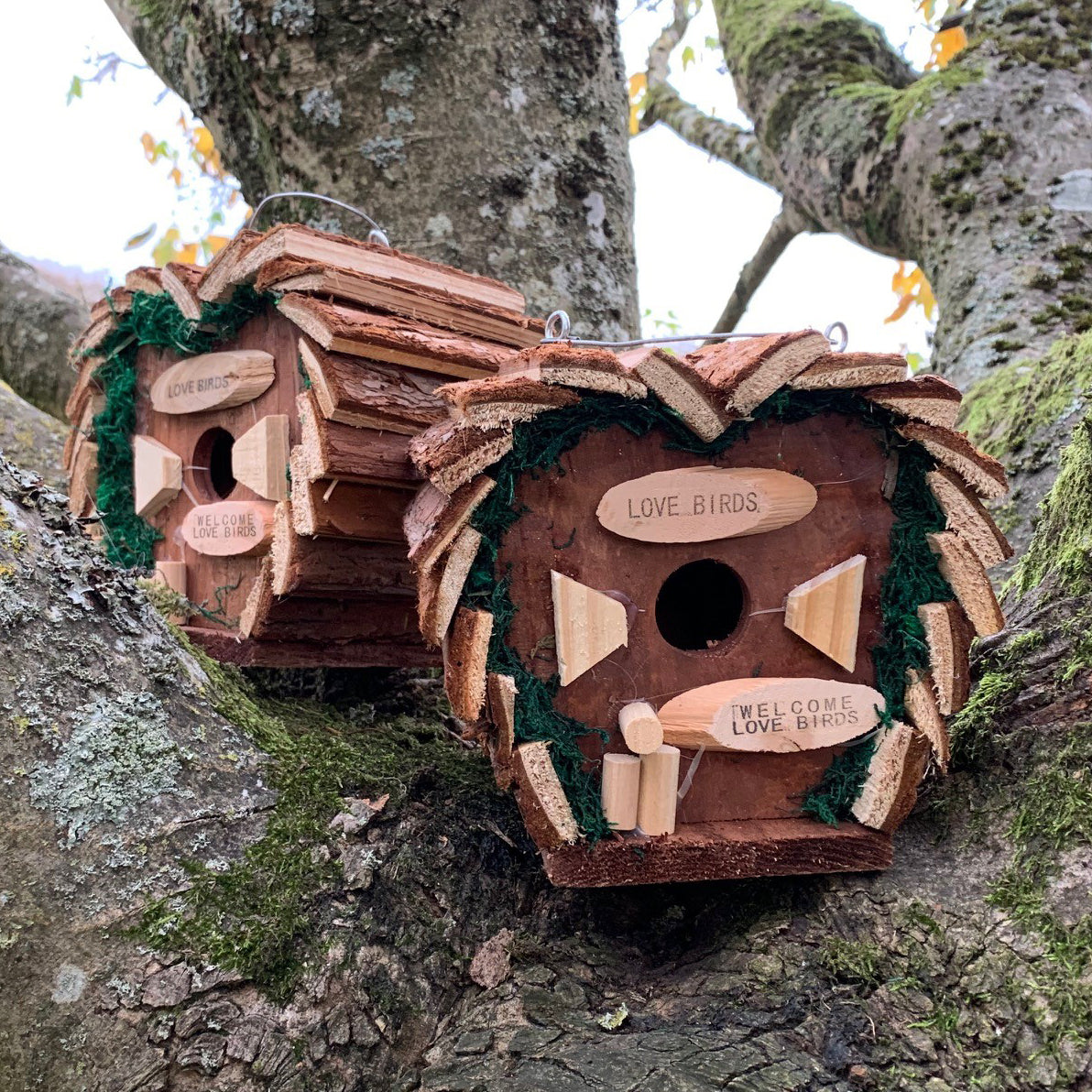 Two heart-shaped wooden birdhouses with 'Welcome' signs and natural bark roofs, hanging from metal hooks against a tree.