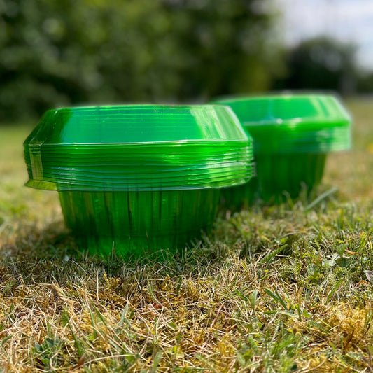 Two green plastic plant protection collars placed on grass.