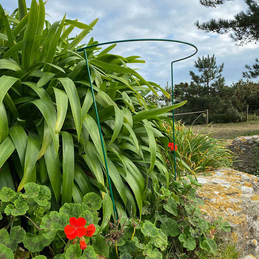 A green garden hoop plant support system installed in a garden setting, with plants growing around and over it.