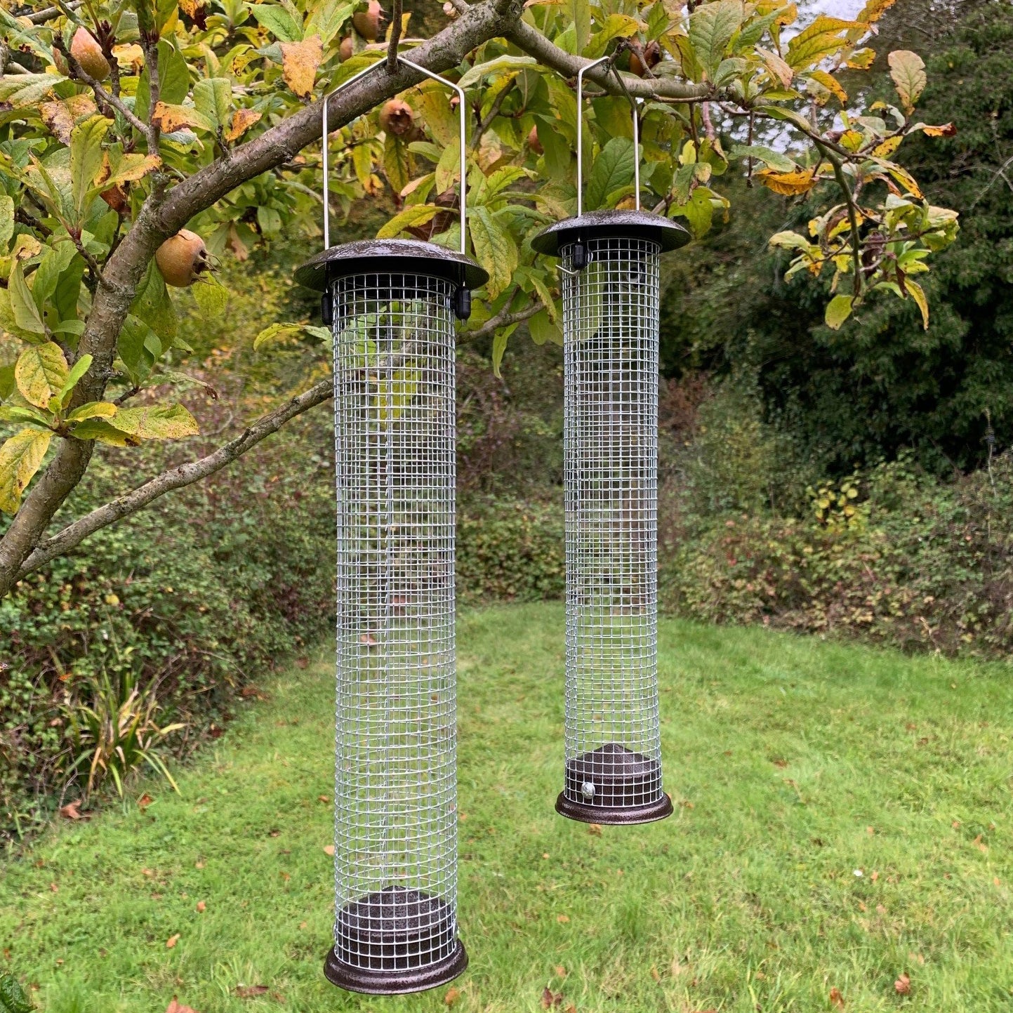 Two cylindrical metal bird feeders with wire mesh dispersal tubes and large handles, hanging from a tree branch in a garden setting.