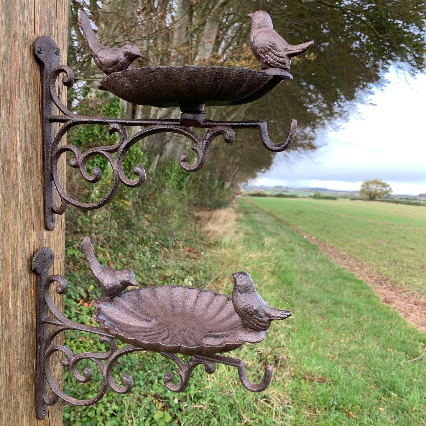 Two wall-mounted cast iron bird feeders with a floral design and two birds facing each other on top, set against a rural backdrop.