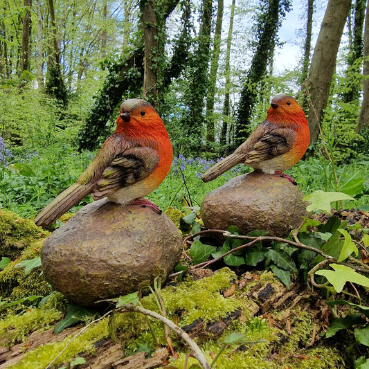 Two resin garden ornaments designed as Robins sitting on stones, placed in a natural outdoor setting with greenery around.