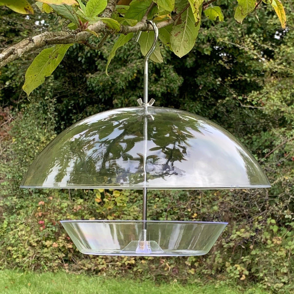 A clear, dome-shaped bird feeder hanging from a metal hook with a squirrel baffle beneath it. The feeder is situated among green leaves, and there is a clear view of the birds feeding inside.