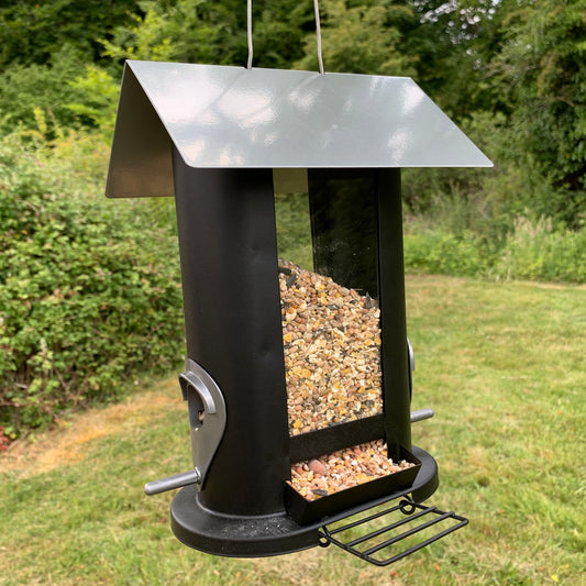 A black metal bird seed feeder with four feeding ports, hanging from a wire loop, filled with bird seed.