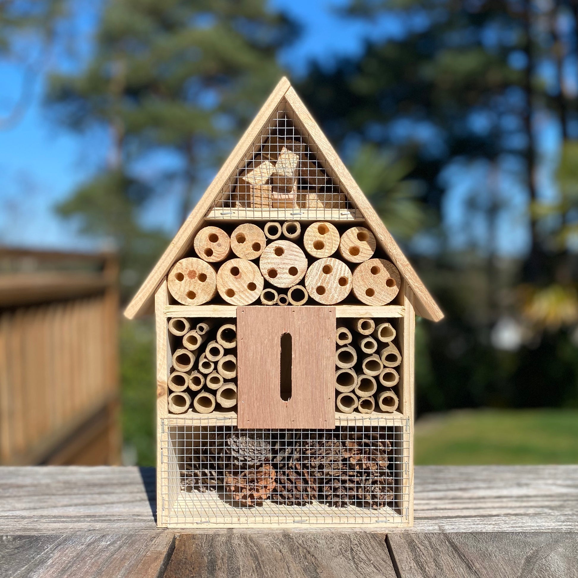 A wooden insect house designed for butterflies and bees, featuring bamboo sections and a metal mesh front.