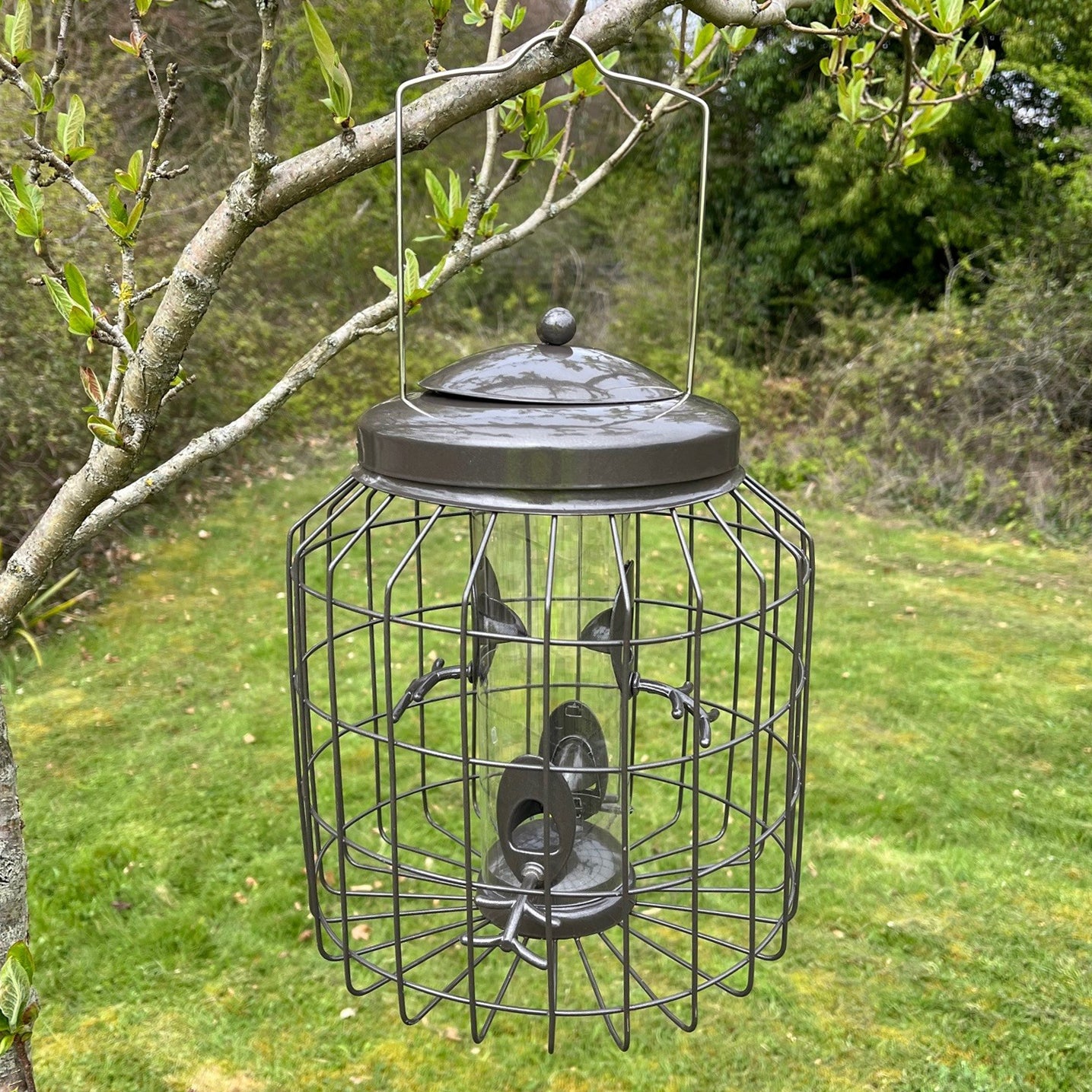 A squirrel proof hanging bird seed feeder with a gun metal grey finish, featuring 4 seed ports and a twist and lift lid mechanism, displayed against a natural background.