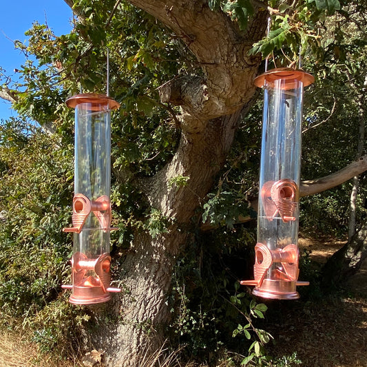 Two copper color bird seed feeders with detachable ports hanging from large hooks, displayed against a natural tree background.