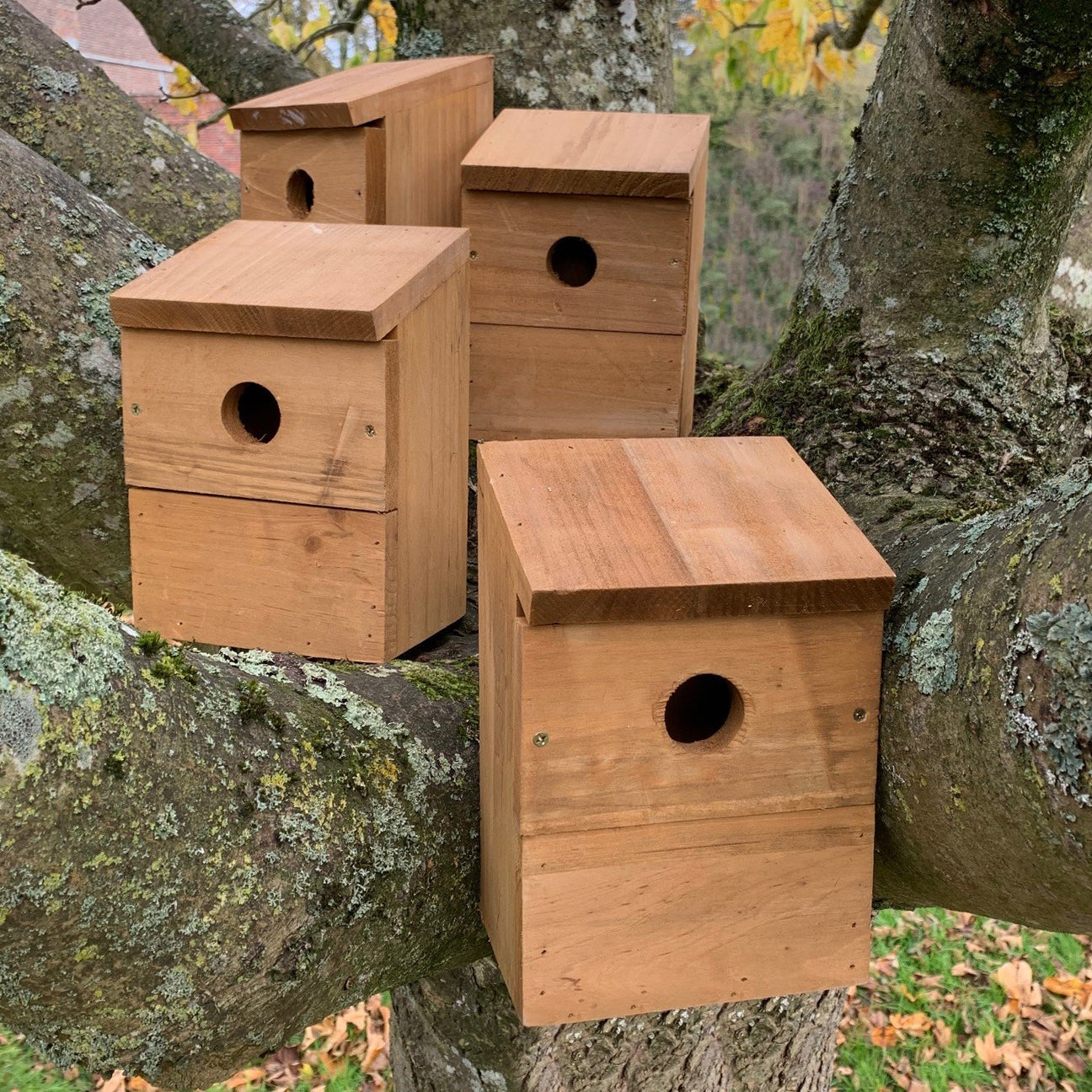 A set of four wooden birdhouses with a square base and a round hole on one side, placed on a tree branch.
