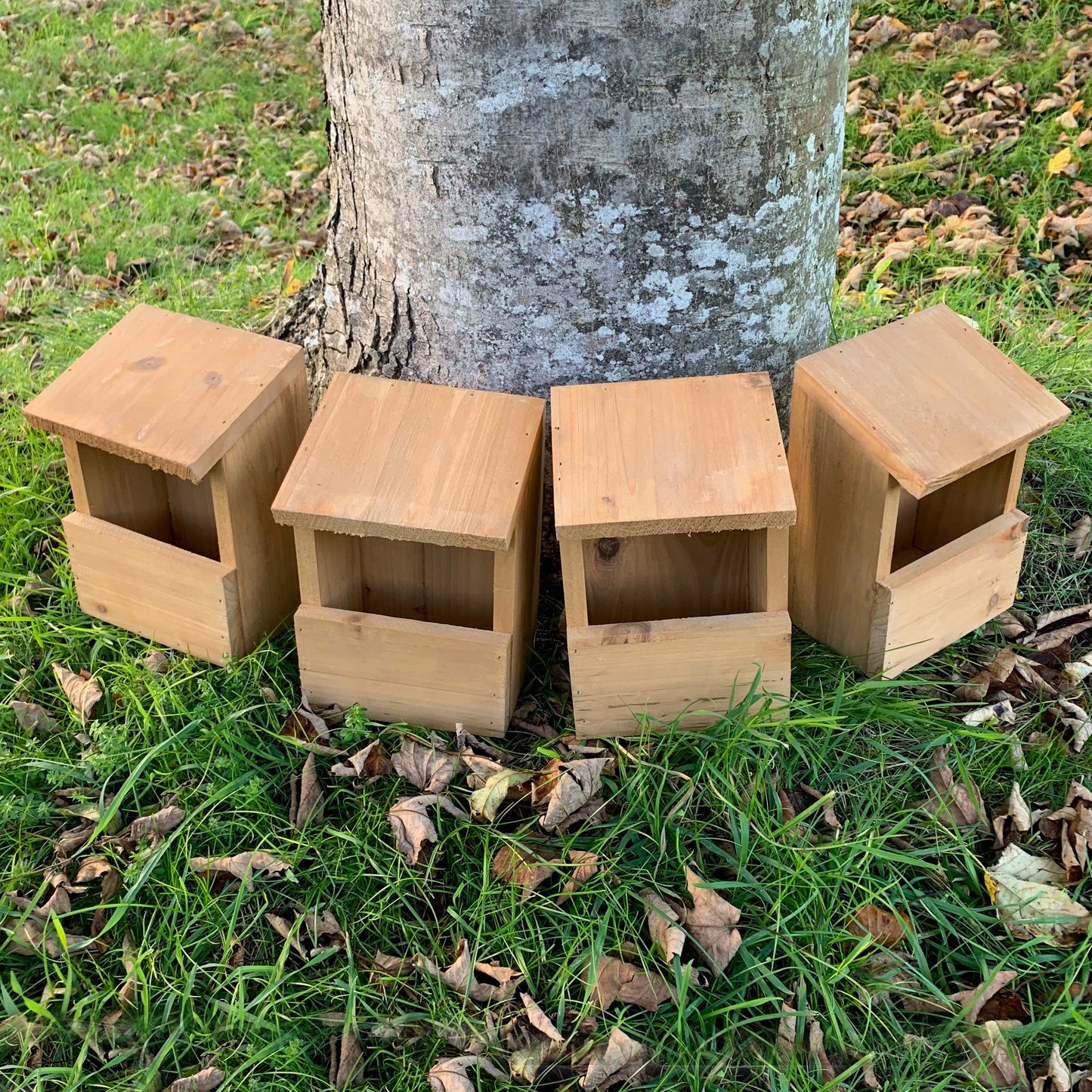 Four wooden Robin birdhouse nest boxes placed against a tree trunk in a garden setting.