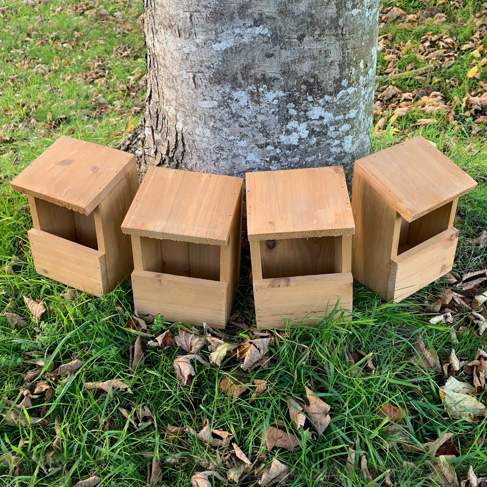 Four wooden Robin birdhouse nest boxes placed against a tree trunk in a garden setting.