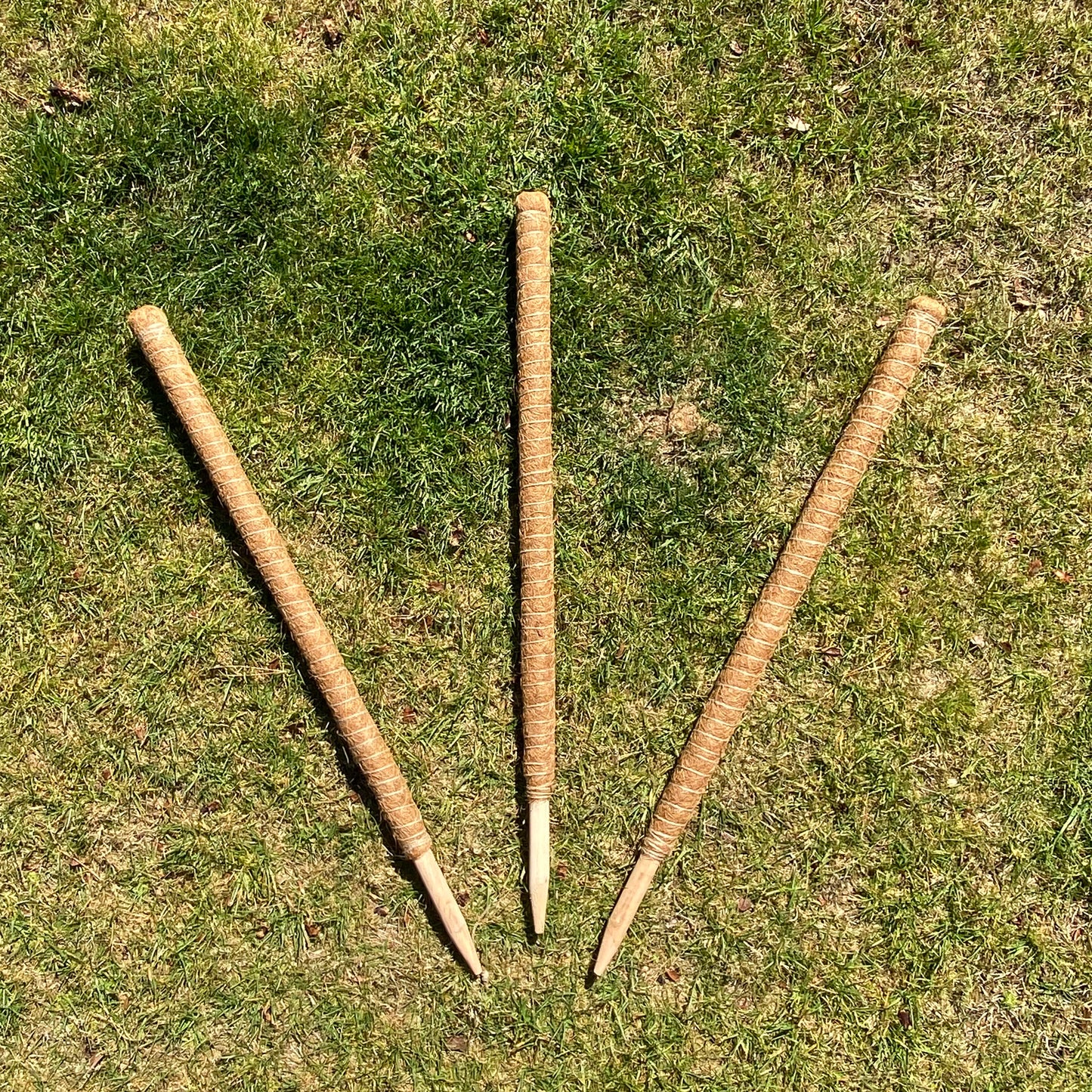 House Plant Support Stake Moss Pole Coconut Fibre Stick for Climbers (80cm) - Pack of 3
