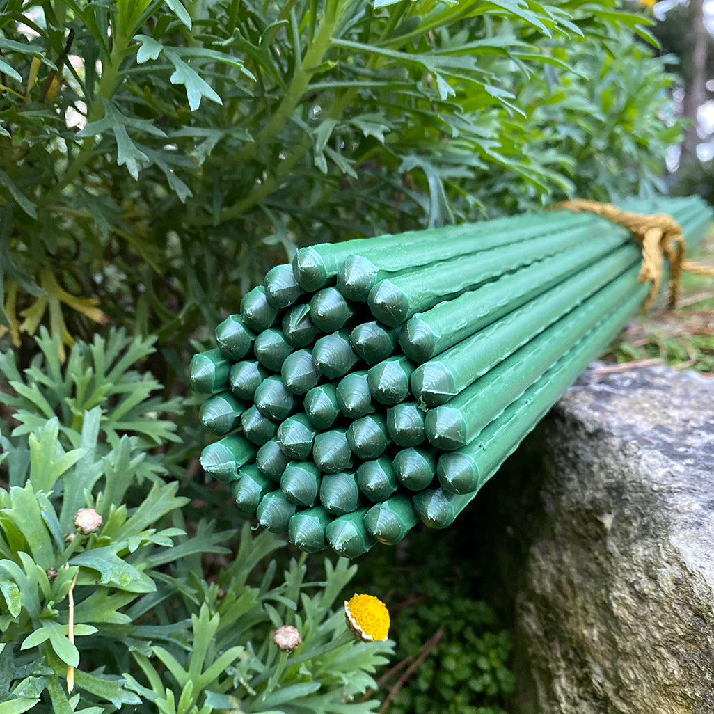 A bundle of green plastic coated metal plant support sticks tied together with twine, resting on a rock with foliage in the background.