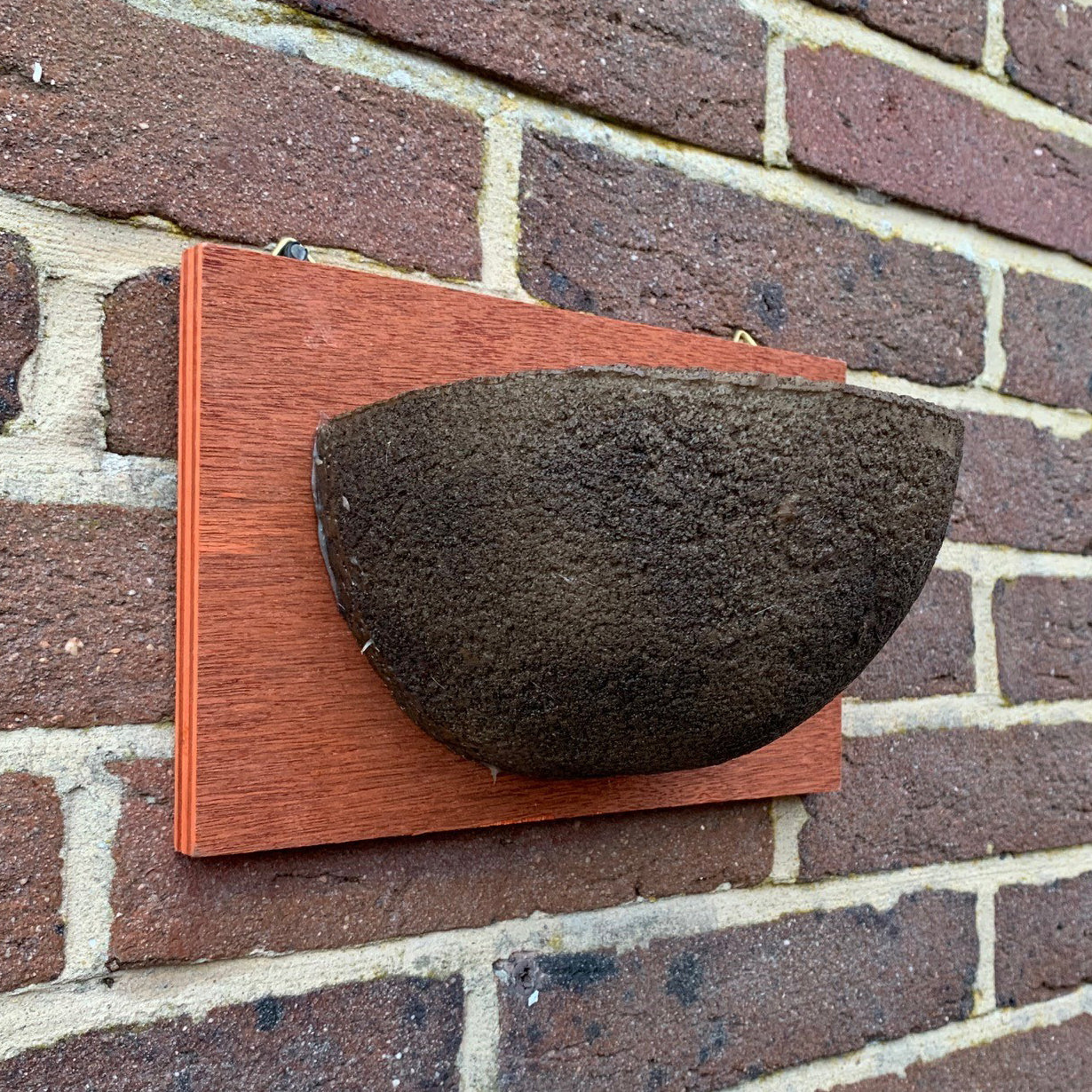 A resin and wooden bird house designed for swallows, mounted on a brick wall.
