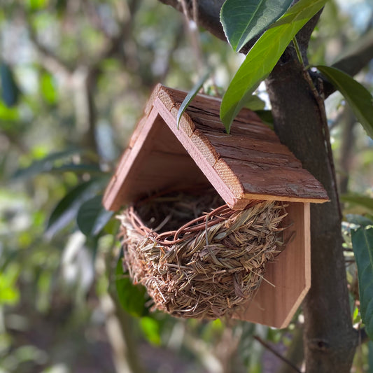 A woven bird nester with a wooden roof attached to a tree, designed for House Martins and other garden birds.