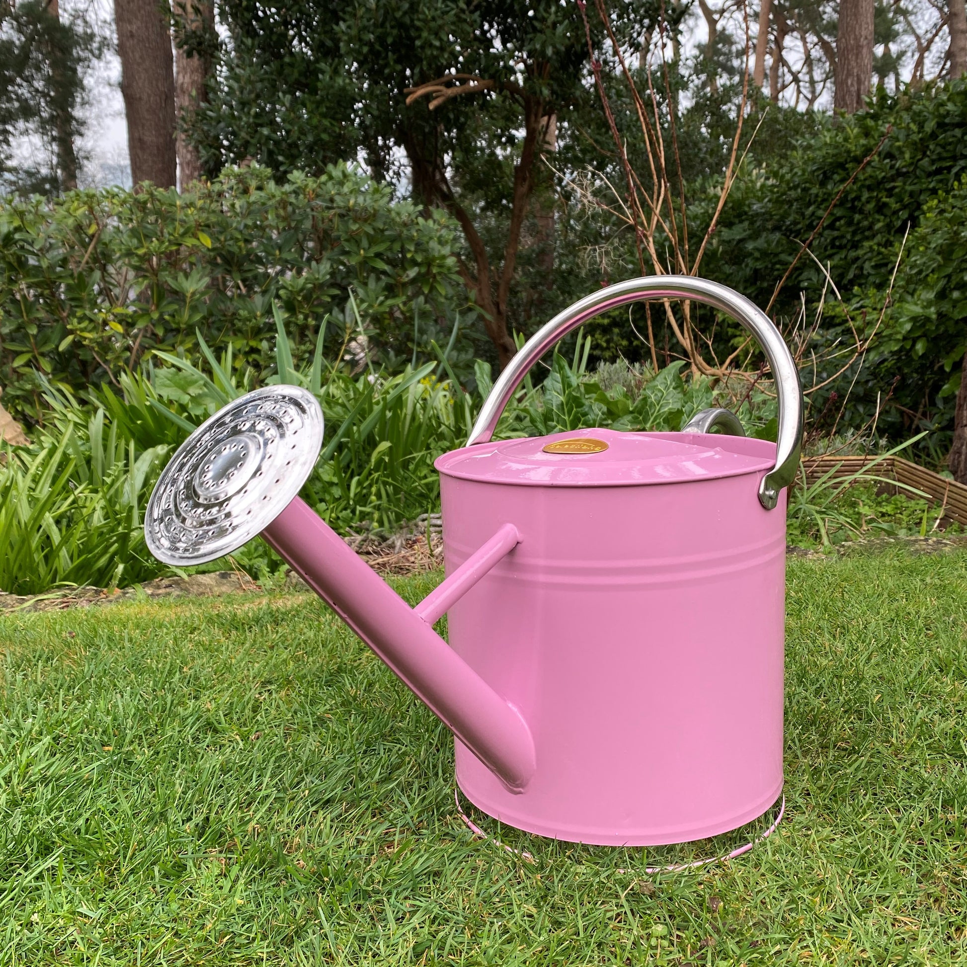 A pink and chrome metal watering can with a rose detail, displayed on grass against a garden backdrop.