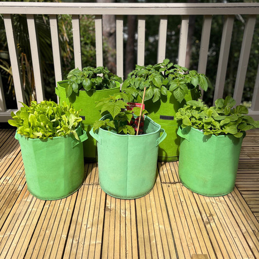 A set of green non-woven aeration fabric pots on a wooden deck, containing various plants.