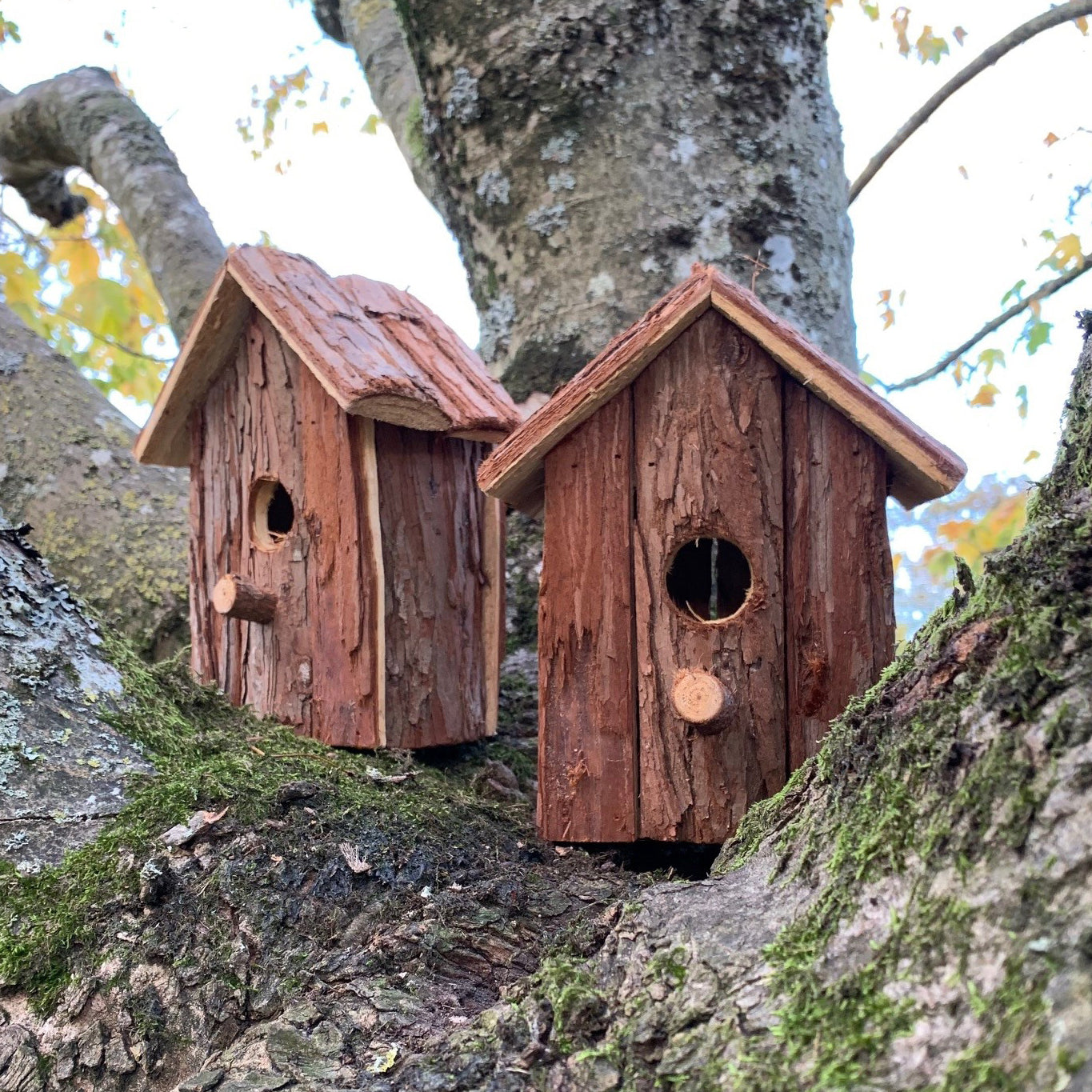 Two rustic wooden birdhouses with a bark finish, perched on a tree branch.
