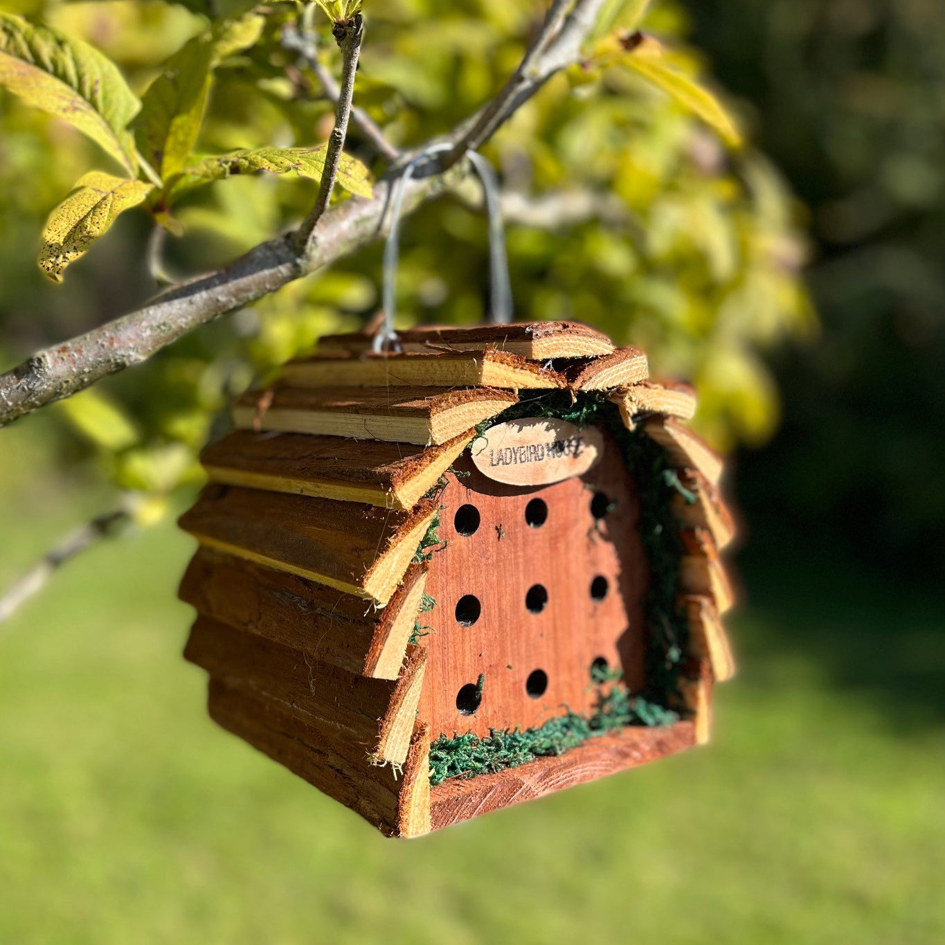 Wooden Hanging Ladybird House