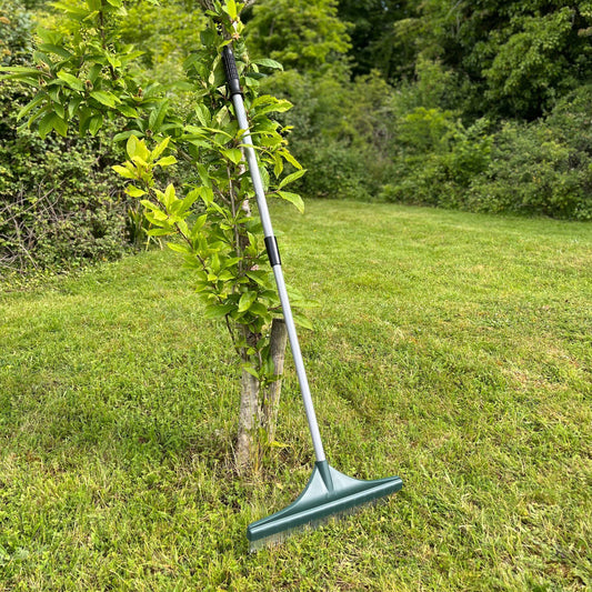 A green artificial grass brush garden lawn rake with telescopic handle, standing upright in a garden on a grass lawn.